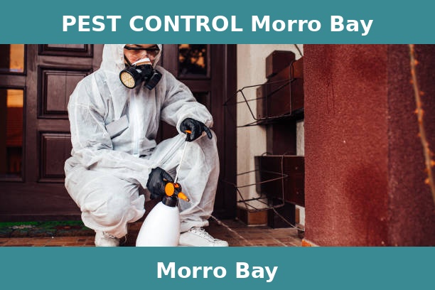 PEST CONTROL Morro Bay